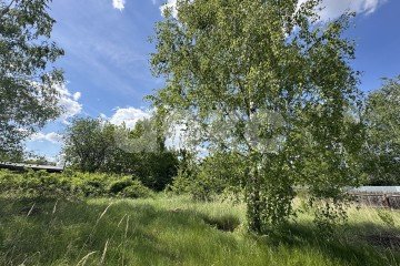 Фото №2: Земельный участок под ИЖС - Заболотье, ул. Песчаная, 6