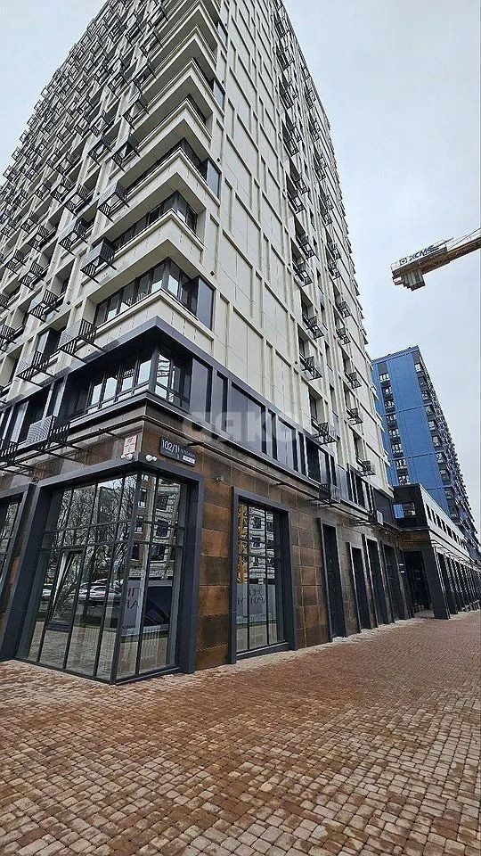 Фото №6: Коммерция 141 м² - Ростов-на-Дону, ЖК Персона, ул. Вересаева, 102/1с1