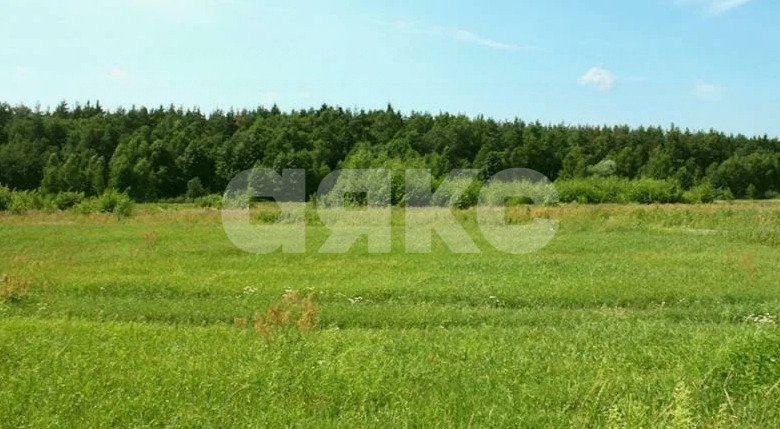Фото №2: Коммерческая земля 3.43 сот. - Севастопольская, ул. Школьная