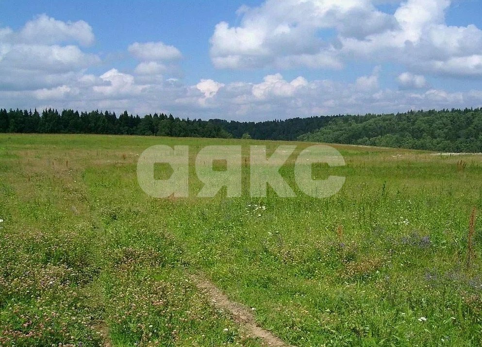 Фото №3: Коммерческая земля 3.43 сот. - Севастопольская, ул. Школьная