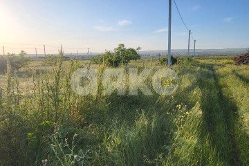 Фото №4: Личное подсобное хозяйство - Таманский, ул. Белореченская, 2