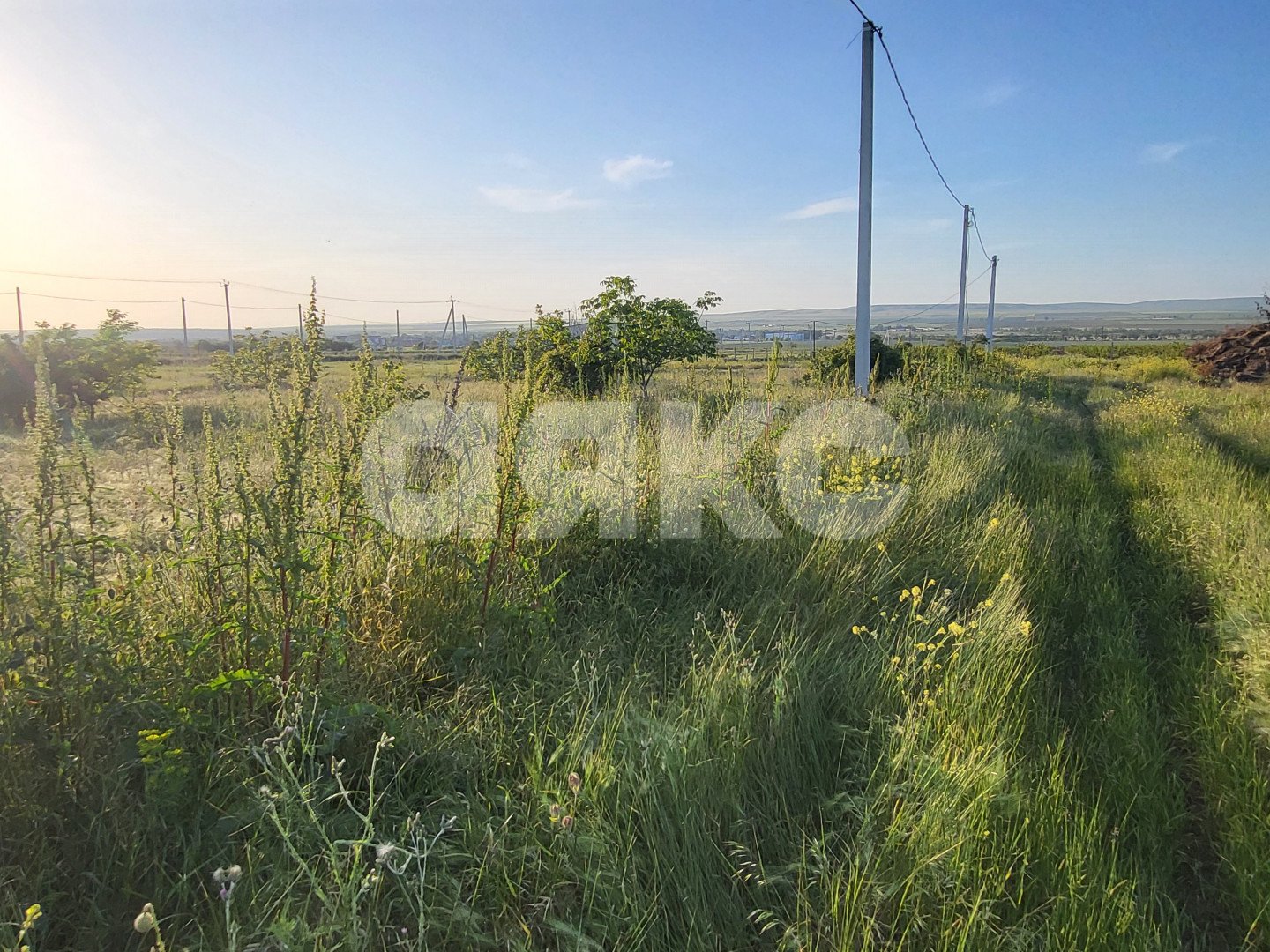 Фото №4: Личное подсобное хозяйство 6 сот. - Таманский, ул. Белореченская, 2