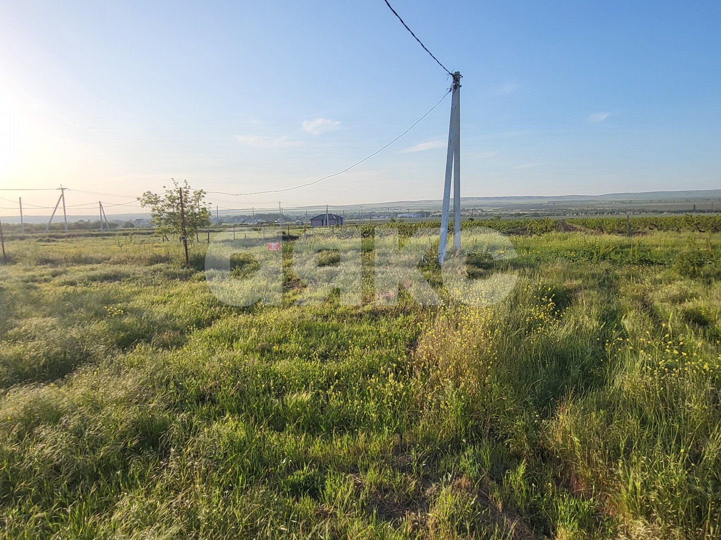 Фото №15: Личное подсобное хозяйство 6 сот. - Таманский, ул. Белореченская, 2