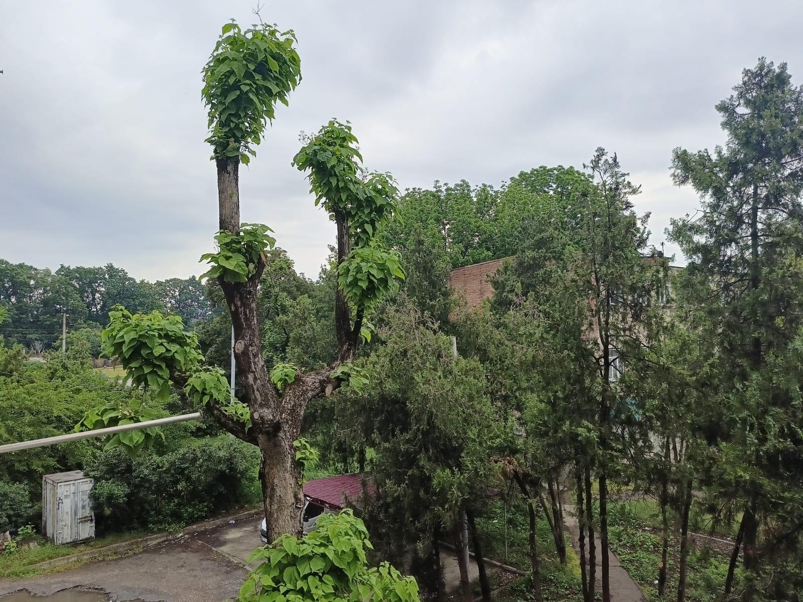 Фото №14: 2-комнатная квартира 70 м² - Краснодар, Прикубанский внутригородской округ, мкр. Школьный