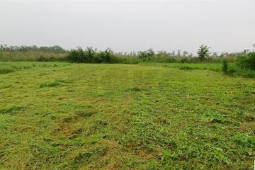 Фото №2: Дом 26 м² - Карла Маркса, ул. Белевцы, 81