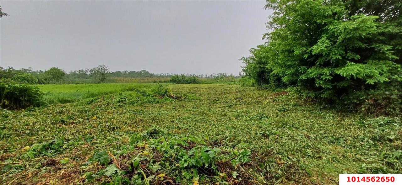 Фото №6: Дом 26 м² + 20 сот. - Карла Маркса, ул. Белевцы, 81