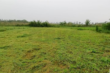 Фото №2: Дом 26 м² - Карла Маркса, ул. Белевцы, 81