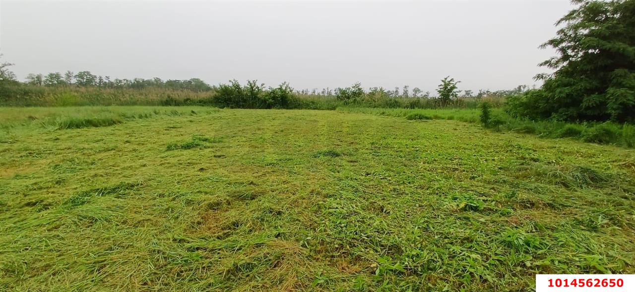 Фото №2: Дом 26 м² + 20 сот. - Карла Маркса, ул. Белевцы, 81