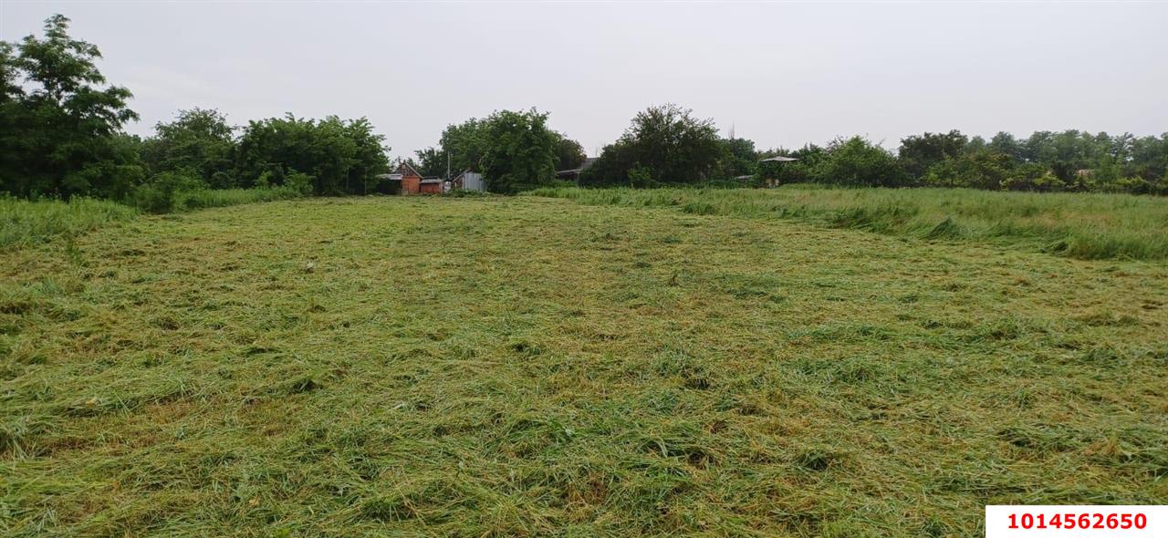 Фото №5: Дом 26 м² + 20 сот. - Карла Маркса, ул. Белевцы, 81