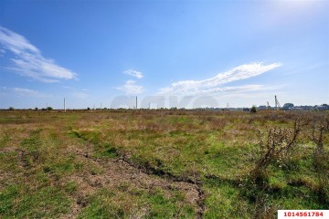 Фото №5: Личное подсобное хозяйство 6 сот. - Новобжегокай, ул. Хатита Махмуда, 2Б