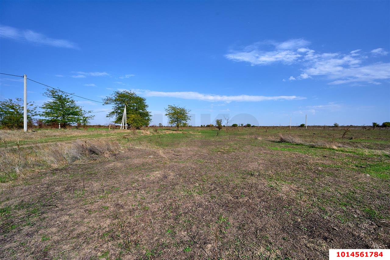 Фото №8: Личное подсобное хозяйство 6 сот. - Новобжегокай, ул. Хатита Махмуда, 2Б