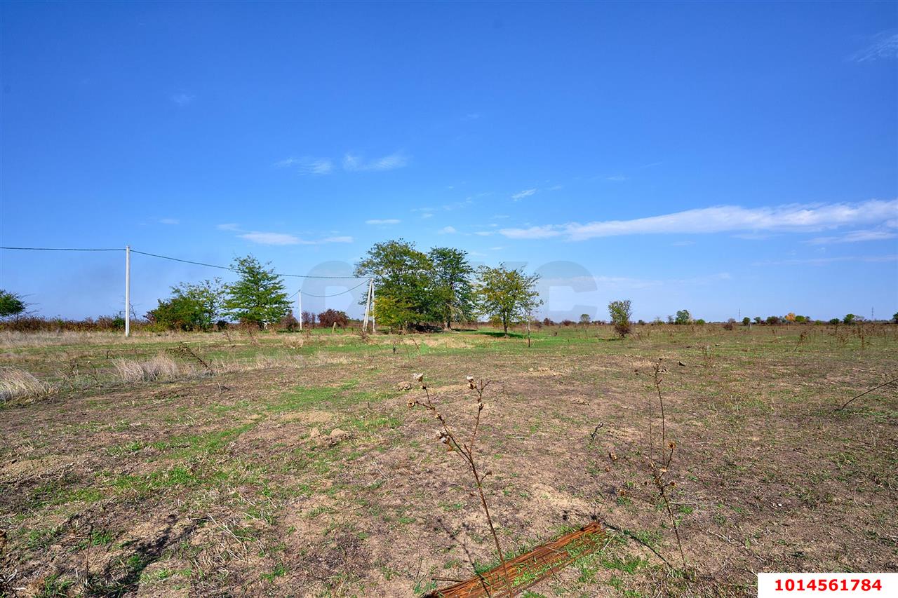 Фото №10: Личное подсобное хозяйство 6 сот. - Новобжегокай, ул. Хатита Махмуда, 2Б