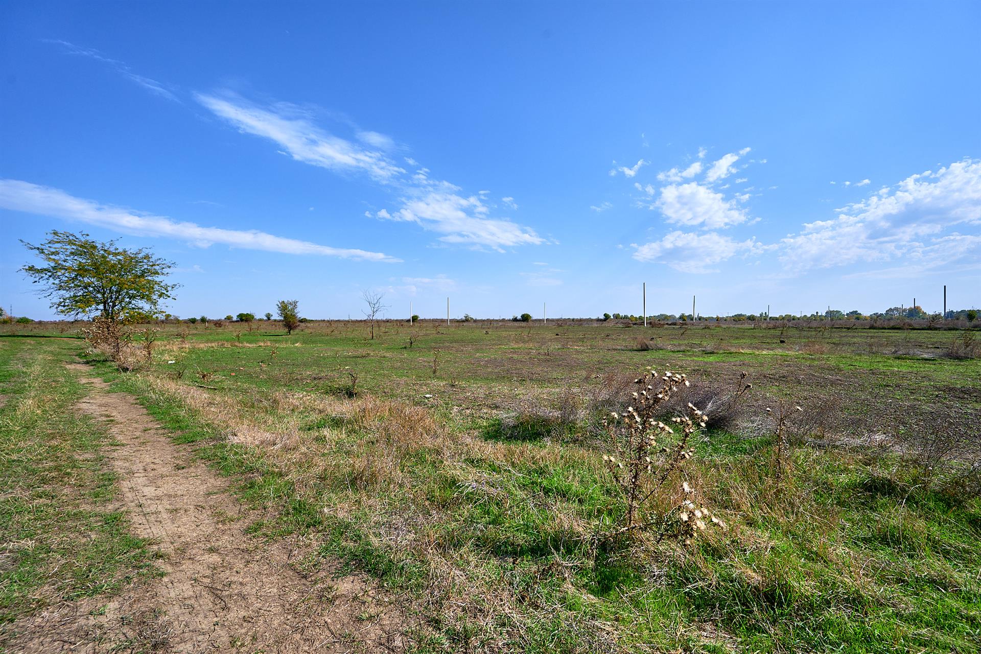 Фото №7: Коммерция 6 м² - Новобжегокай, ул. Хатита Махмуда, 2Б