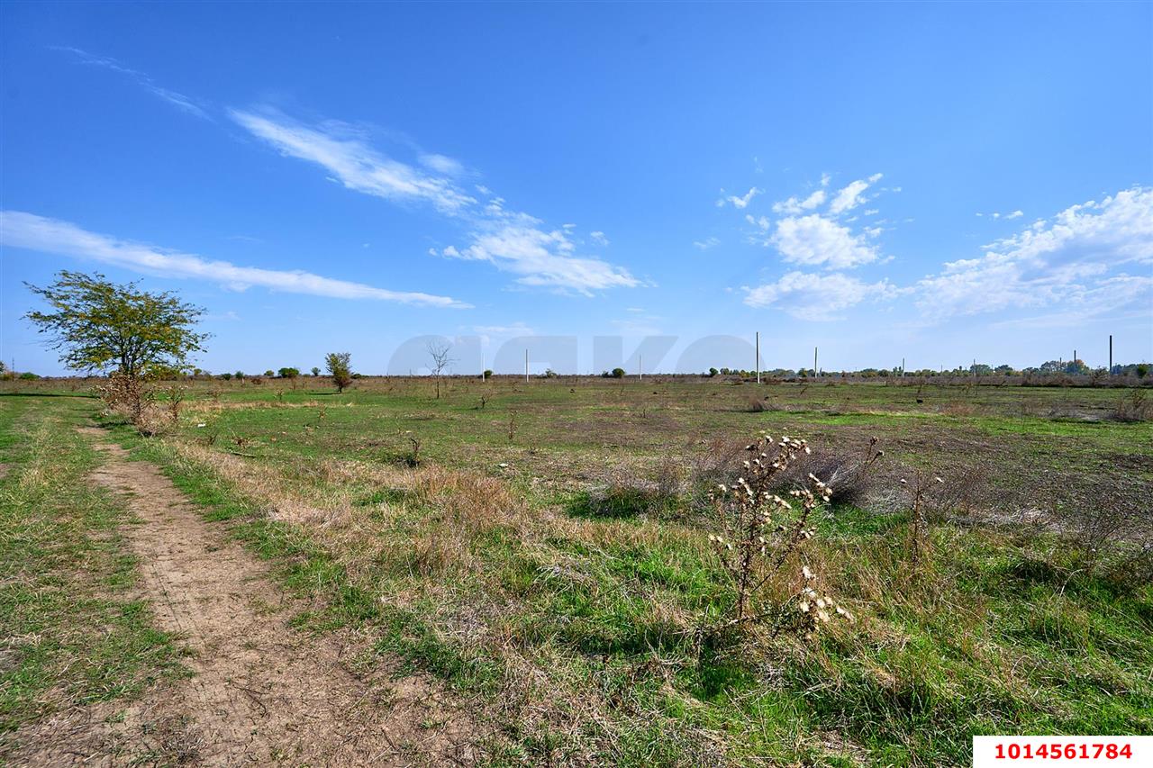 Фото №7: Личное подсобное хозяйство 6 сот. - Новобжегокай, ул. Хатита Махмуда, 2Б