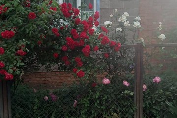 Фото №1: Дом 46 м² - Ленина, мкр. СНТ Белая Чайка, ул. Цветочная, 24