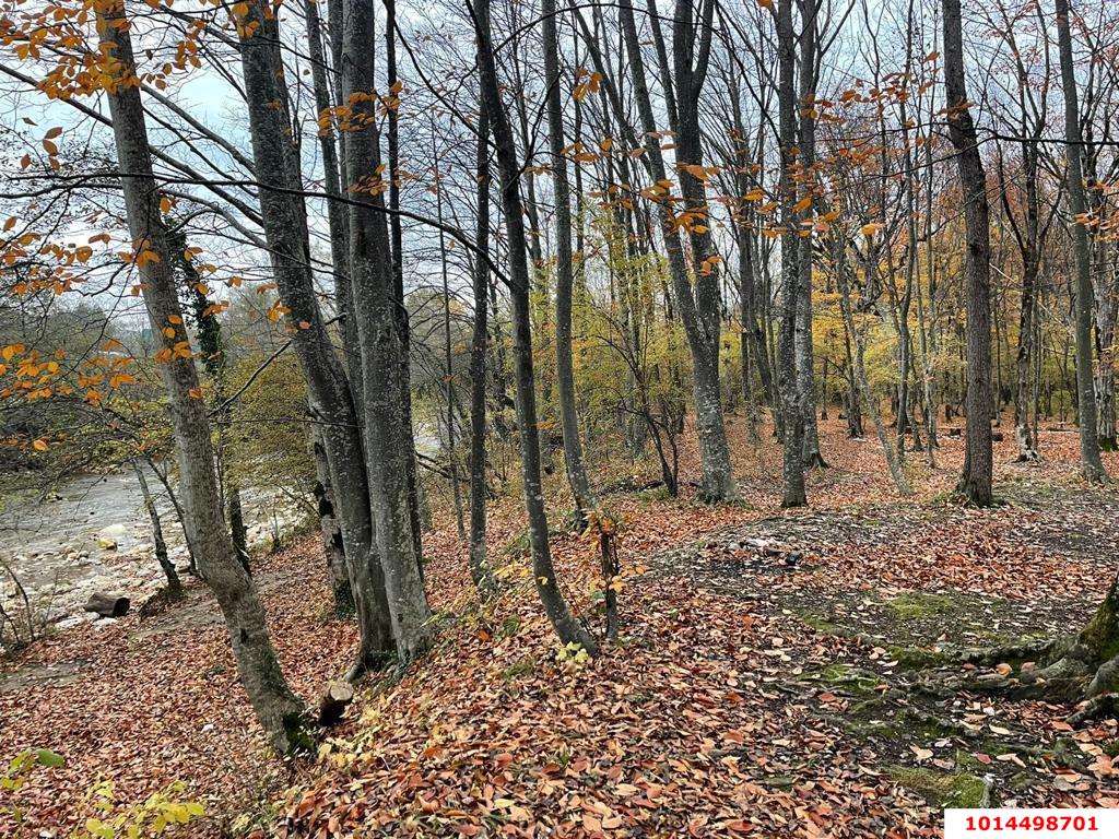 Фото №8: Участок садоводство 6.08 сот. - СТ Виктория, Прикубанский внутригородской округ