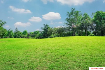 Фото №1: Участок садоводство 4.42 сот. - СТ Закубанские Сады, ул. Трактовая, 20