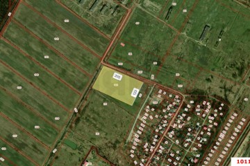 Фото №3: Коммерческая земля 230 сот. - Дружный, ул. Рабочая, 1