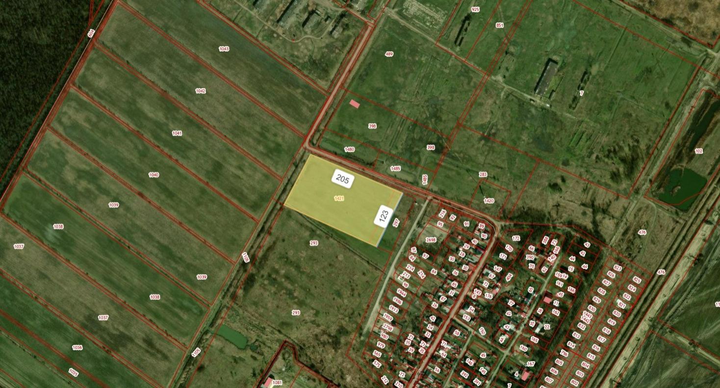 Фото №3: Коммерция 230 м² - Дружный, ул. Рабочая, 1