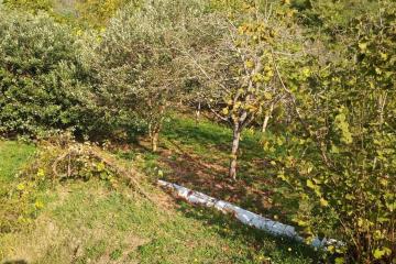 Фото №5: Коммерция 11 м² - Нижняя Шиловка, мкр. квартал Социализм, ул. Сормовская, 11