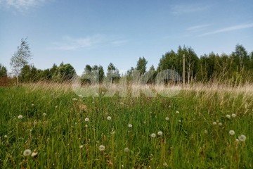 Фото №5: Земельный участок под ИЖС - Ясногорск, ул. Комсомольская