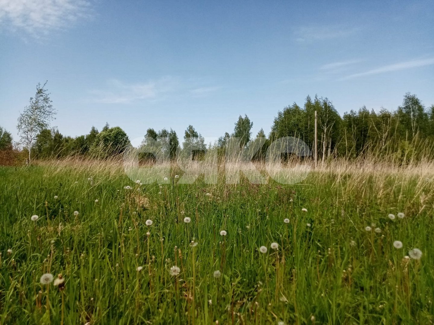 Фото №5: Земельный участок под ИЖС 9.25 сот. - Ясногорск, ул. Комсомольская
