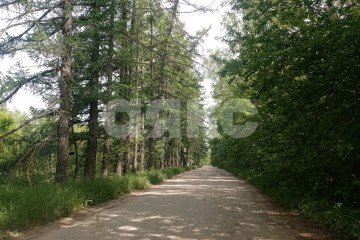 Фото №2: Земельный участок под ИЖС - Ясногорск, ул. Комсомольская