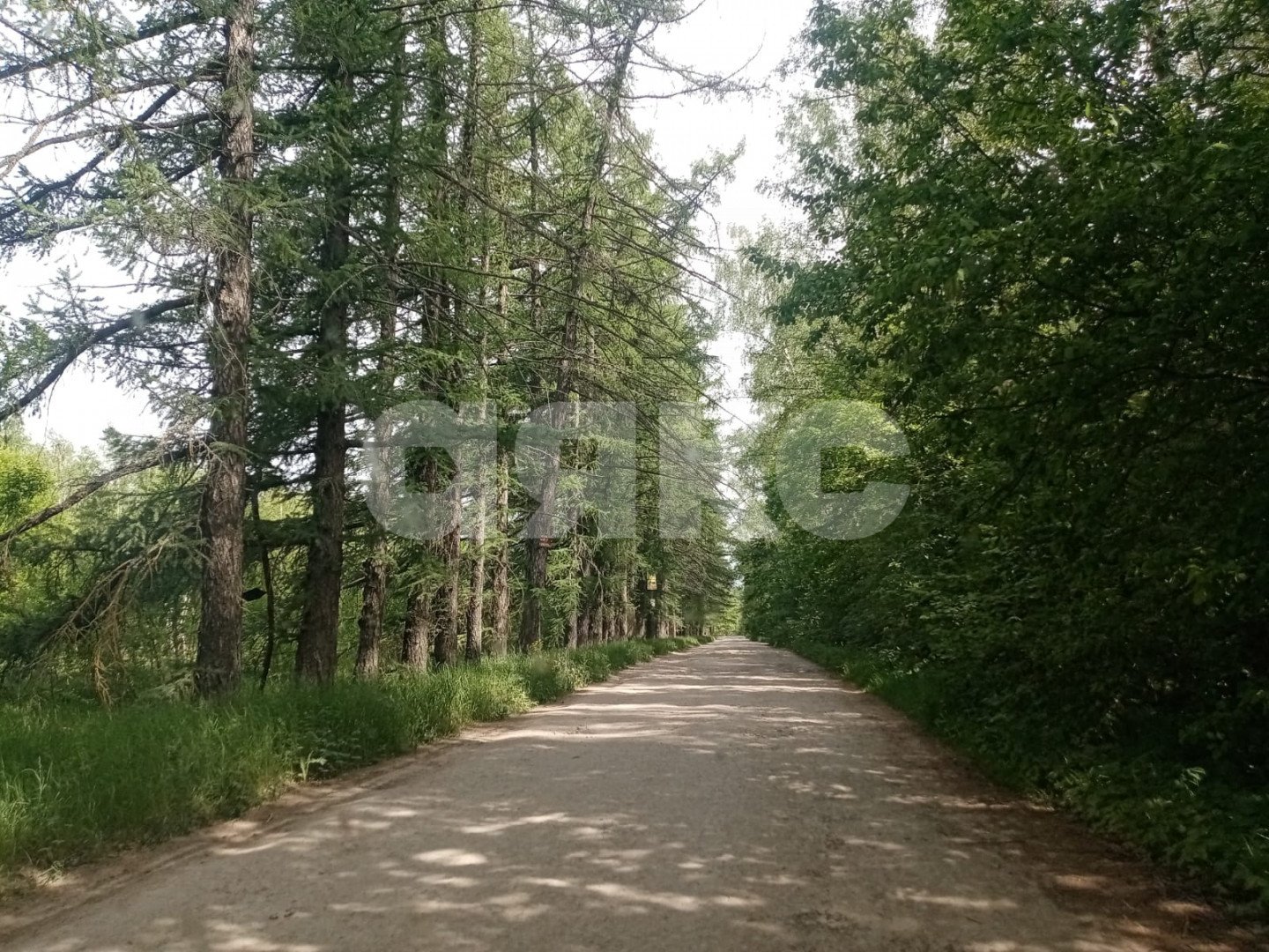 Фото №2: Земельный участок под ИЖС 9.25 сот. - Ясногорск, ул. Комсомольская