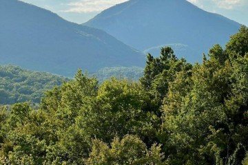 Фото №1: Участок садоводство 6.71 сот. - СНТ Товарищ, ул. Клубничная