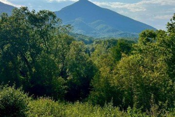 Фото №2: Участок садоводство 6.71 сот. - СНТ Товарищ, ул. Клубничная