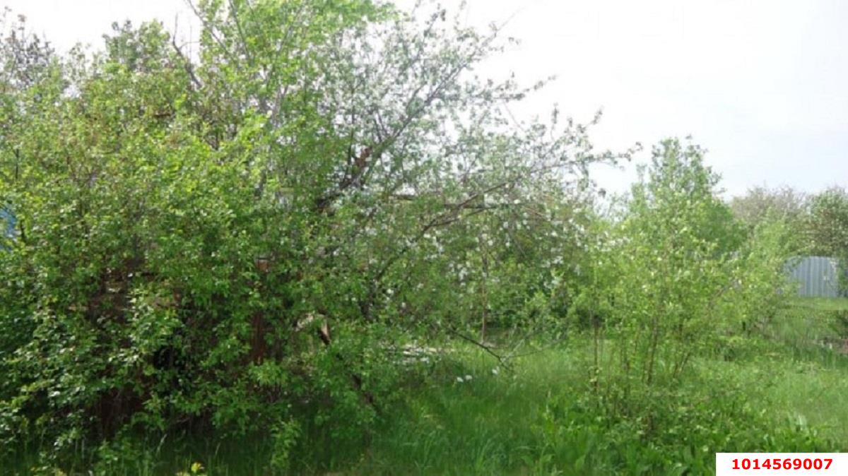 Фото №4: Участок садоводство 5 сот. - Елизаветинская, Стекольщик, ул. Персиковая, 47