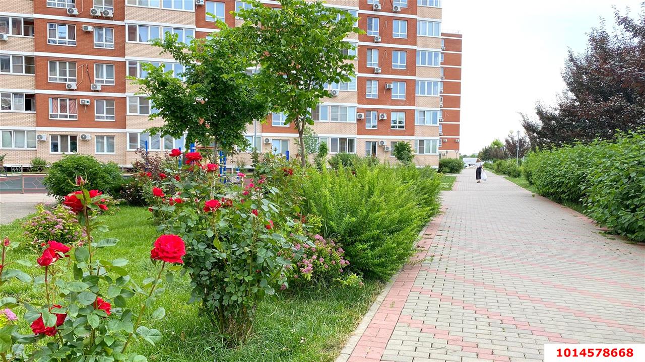 Фото №14: Студия 28 м² - Краснодар, жилой комплекс Спортивная Деревня, ул. Западный Обход, 42к5