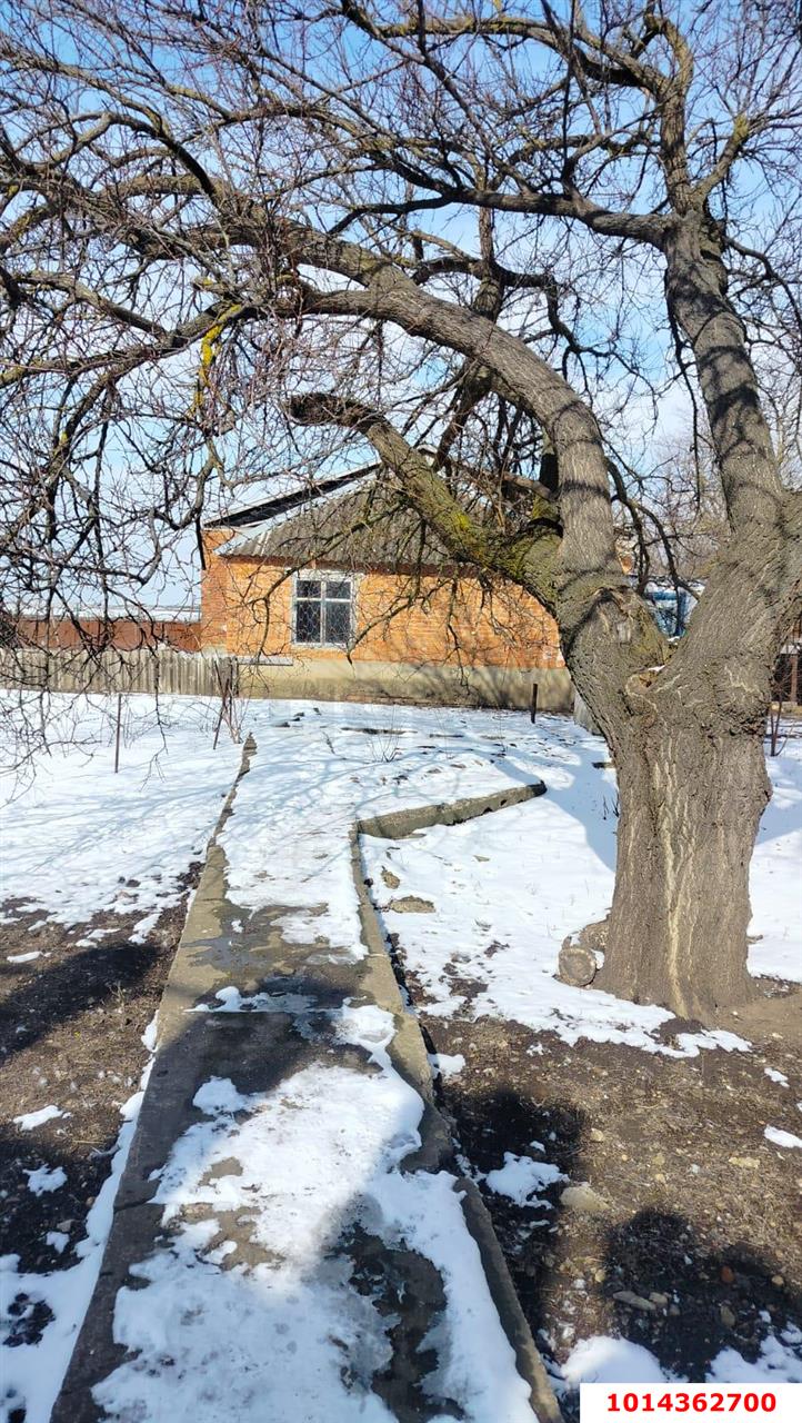 Фото №5: Дом 303 м² + 29 сот. - Безлесный, ул. Ухтинская, 3