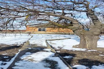 Фото №5: Дом 303 м² - Безлесный, ул. Ухтинская, 3