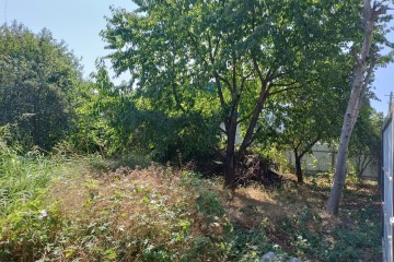 Фото №3: Участок садоводство 4.02 сот. - Строитель, мкр. Прикубанский внутригородской округ, ул. Сиреневая, 142