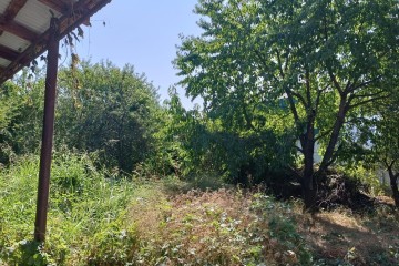 Фото №4: Участок садоводство 4.02 сот. - Строитель, мкр. Прикубанский внутригородской округ, ул. Сиреневая, 142