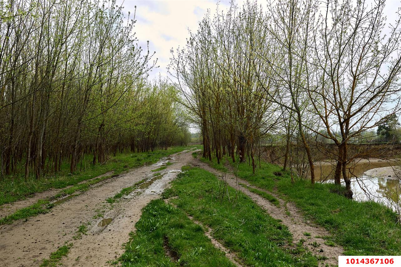 Фото №5: Коммерческая земля 9 сот. - Горячий Ключ, 