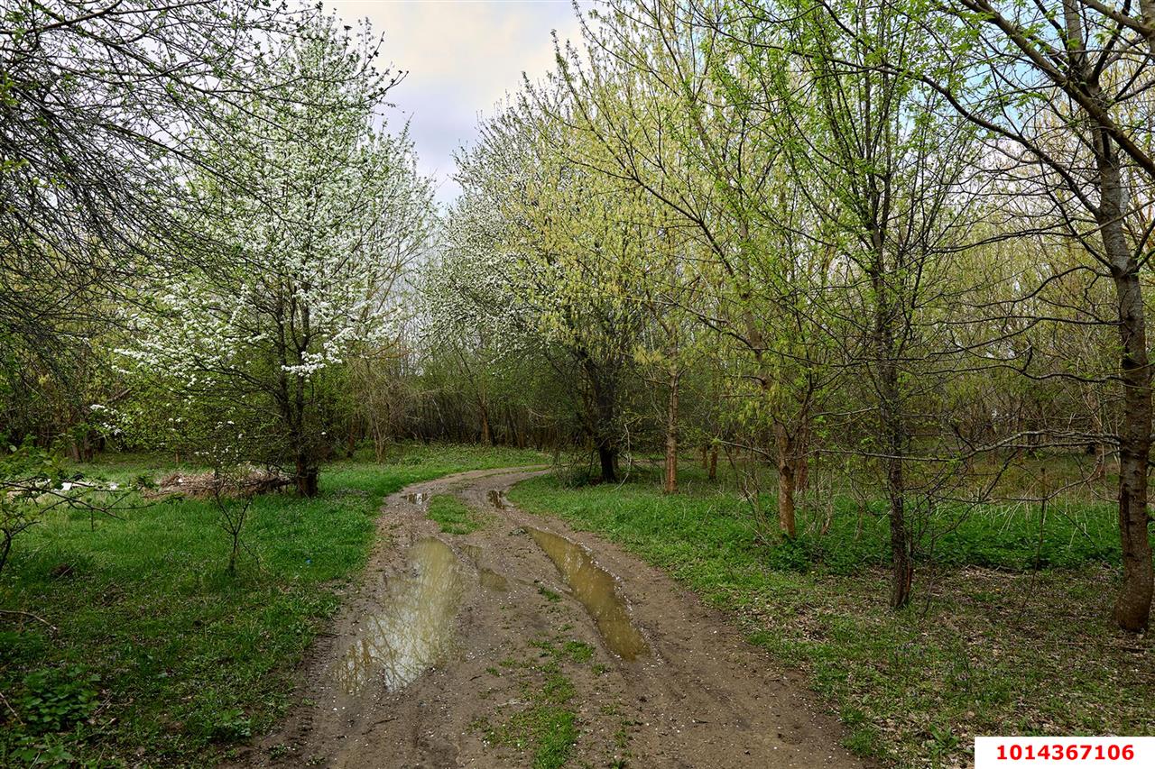 Фото №6: Коммерческая земля 9 сот. - Горячий Ключ, 