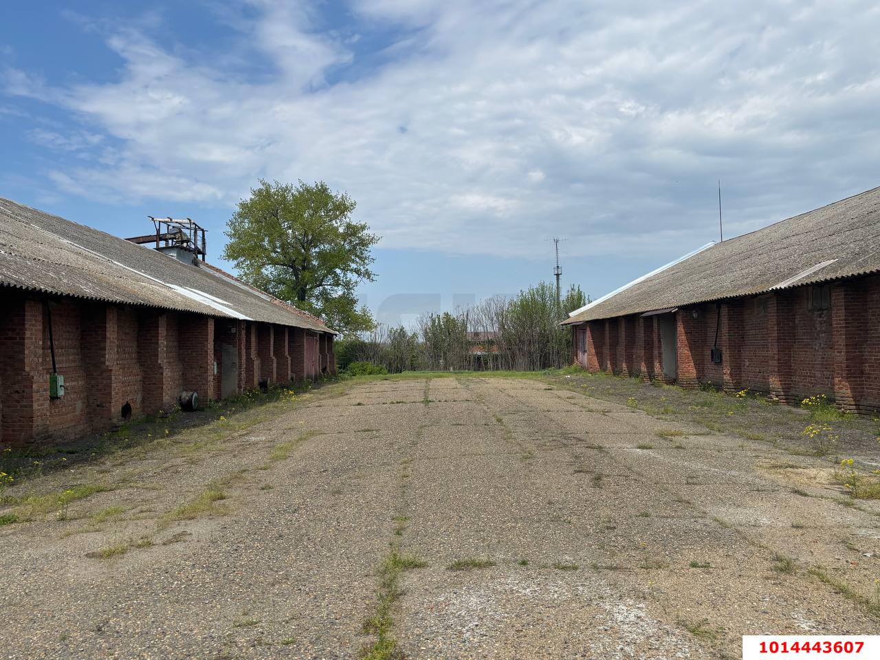 Фото №6: Производственное помещение 12000 м² - Темижбекская, ул. Расшеватская, 47