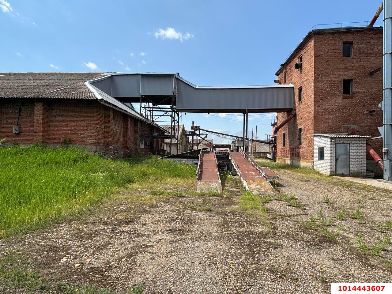 Фото №4: Производственное помещение 12000 м² - Темижбекская, ул. Расшеватская, 47