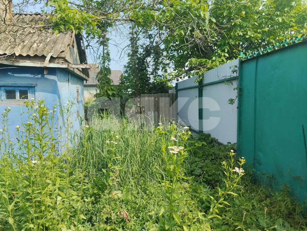 Фото №5: Личное подсобное хозяйство 836 сот. - Вольное, ул. Краснодарская, 10А