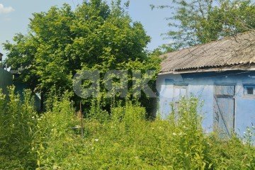Фото №4: Личное подсобное хозяйство - Вольное, ул. Краснодарская, 10А