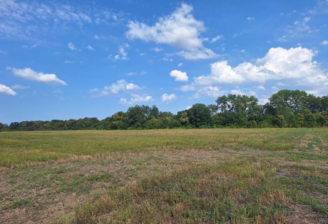 Фото №2: Коммерция 366 м² - Абинск