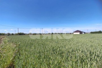 Фото №3: Земельный участок под ИЖС - Темрюк, п. Комсомольский, ул. Ильи Павленко