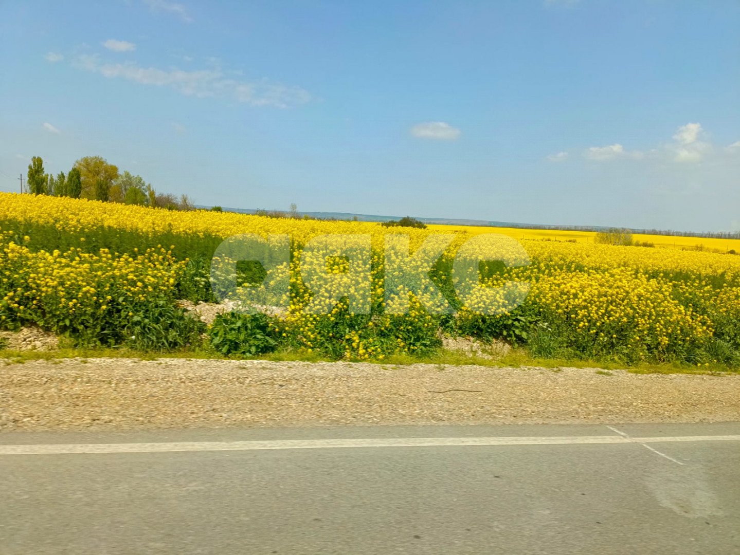 Фото №11: Личное подсобное хозяйство 8.5 сот. - Уташ, ул. Виноградная, 17
