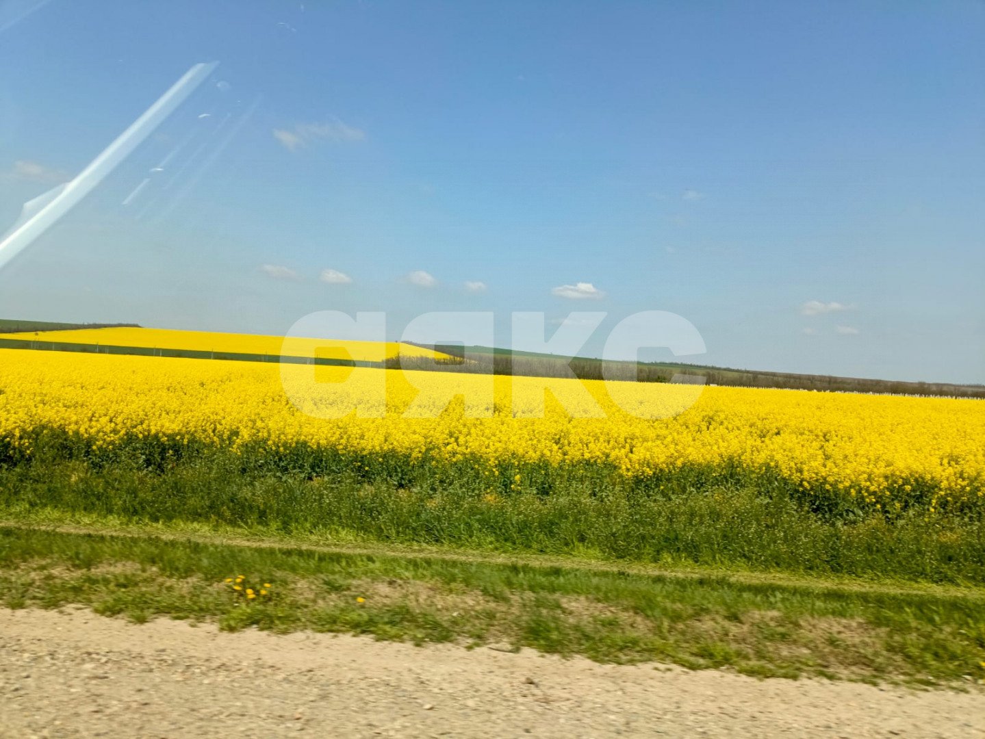 Фото №13: Личное подсобное хозяйство 8.5 сот. - Уташ, ул. Виноградная, 17
