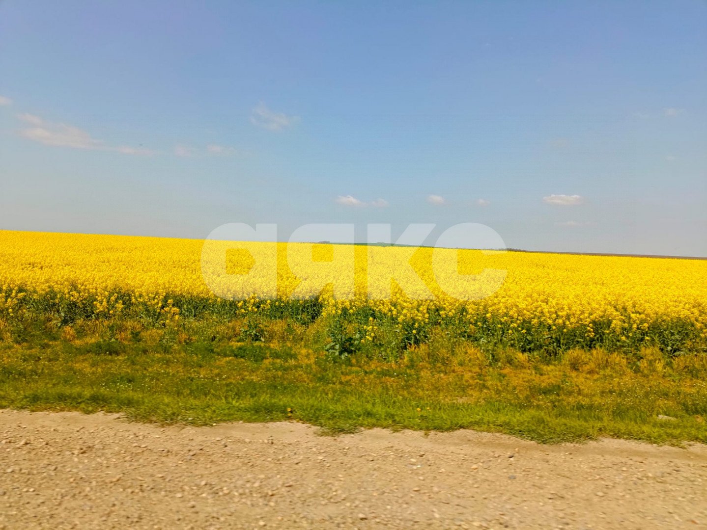 Фото №13: Личное подсобное хозяйство 8 сот. - Джигинка, ул. Цветочная, 34