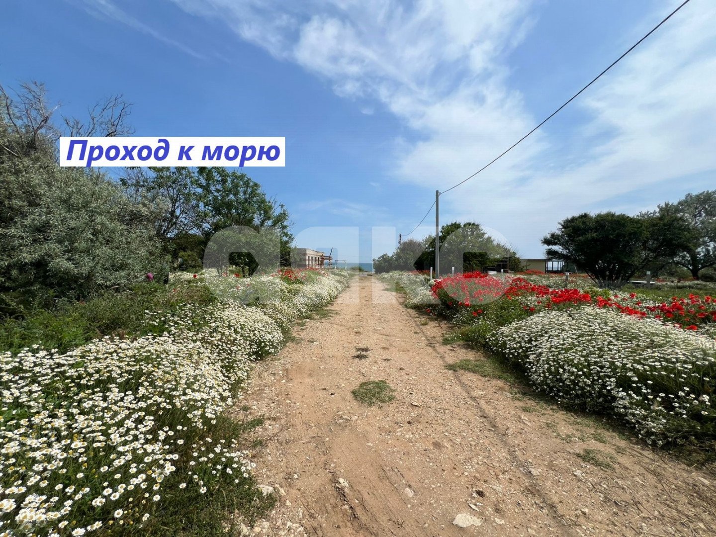 Фото №26: Коммерция 200 м² - Кучугуры, пер. Песчаный, 25