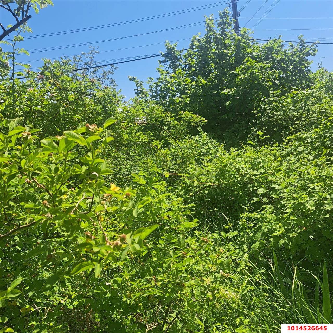 Фото №2: Участок садоводство 6 сот. - Елизаветинская, Мечта, ул. Геологов, 91