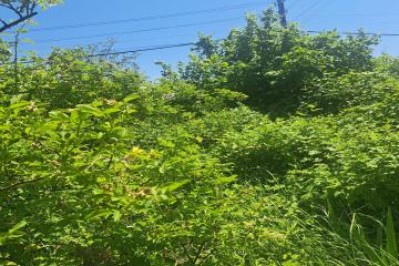 Фото №2: Земельный участок 6 сот. - Елизаветинская, ст Мечта, ул. Геологов, 91